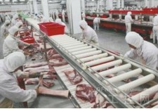 澳大利亚把机器人引入猪肉加工厂