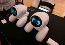 智能看门狗：Domgy宠物机器人可用于家居防盗